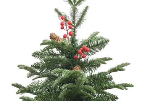 Pom Crăciun artificial cu balamale, conuri, fructe roșii 180 cm - 4/5