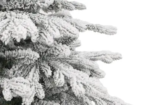 Brad de Crăciun artificial cu balamale și zăpadă pufoasă 240 cm - 5/5