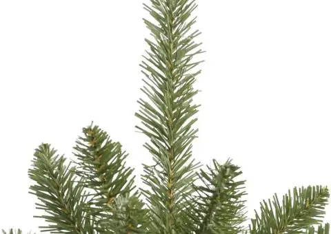 Brad de Crăciun artificial cu suport și balamale, verde, 210 cm - 4/5