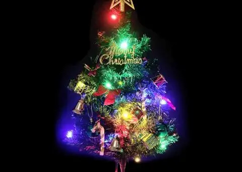 Mini brad artificial pre-iluminat cu 30 LED-uri, verde, 60 cm - 2/5