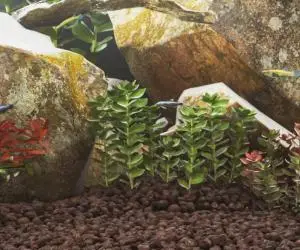 vidaXL Roci vulcanice, 25 kg, roșu, 3-5 cm