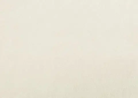 Set de canapele cu perne, 2 piese, crem, catifea - 5/5