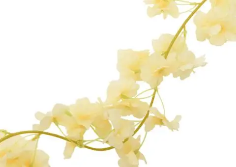 Ghirlande de flori de Crăciun, 6 buc., șampanie, 180 cm - 5/5