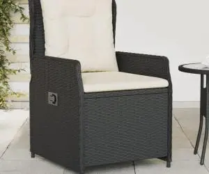 vidaXL Scaune de grădină rabatabile, 2 buc., negru, poliratan