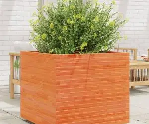 vidaXL Jardinieră de grădină, maro ceruit, 80x80x72 cm, lemn masiv pin