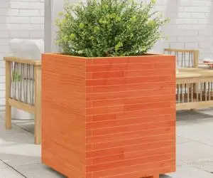 vidaXL Jardinieră de grădină, maro ceruit 60x60x72,5 cm lemn masiv pin