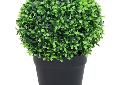 Plante artificiale cimișir cu ghiveci, 2 buc. verde 37 cm minge - 2/5