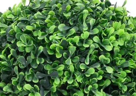 Plante artificiale cimișir cu ghiveci, 2 buc. verde 37 cm minge - 3/5