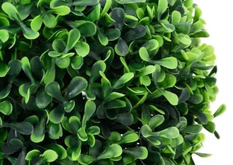 Plante artificiale cimișir cu ghiveci, 2 buc. verde 37 cm minge - 4/5