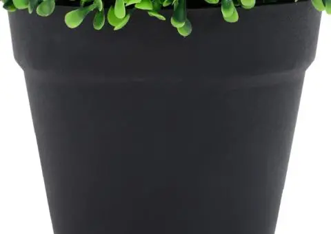 Plante artificiale cimișir cu ghiveci, 2 buc. verde 37 cm minge - 5/5