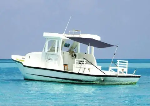 Set extensie parasolar T-Top, albastru, 170x170x(113-182,5) cm - 1/5