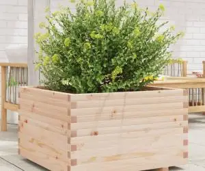 vidaXL Jardinieră de grădină, 80x80x49,5 cm, lemn masiv de pin