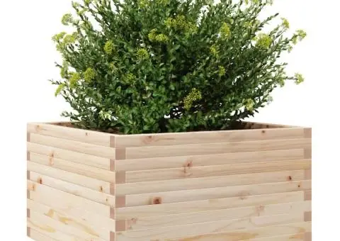 Jardinieră de grădină, 80x80x49,5 cm, lemn masiv de pin - 4/5