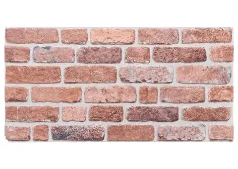 Panouri de perete 3D, 10 buc., roșu, 100x50 cm, EPS - 2/5