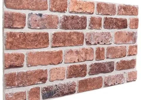 Panouri de perete 3D, 10 buc., roșu, 100x50 cm, EPS - 3/5