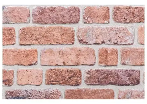 Panouri de perete 3D, 10 buc., roșu, 100x50 cm, EPS - 5/5