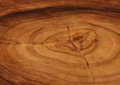 Măsuță de cafea, 60 x 55 x 25 cm, lemn masiv de acacia - 3/5