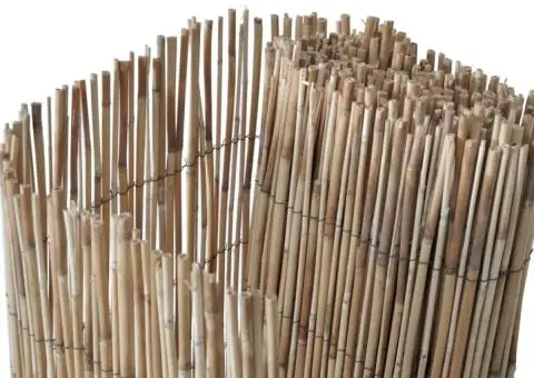 Gard de grădină, 600x80 cm, stuf - 3/5