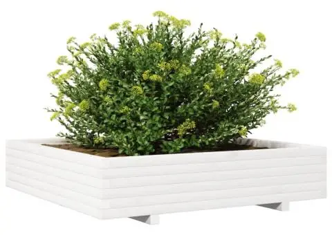 Jardinieră de grădină, alb, 110x110x26,5 cm, lemn masiv de pin - 4/5