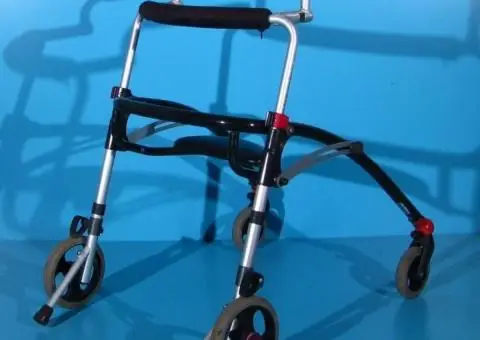 Cadru de mers cu roti pentru copii R82 Crocodile - 1/9