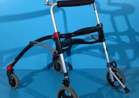 Cadru de mers cu roti pentru copii R82 Crocodile - 3/9