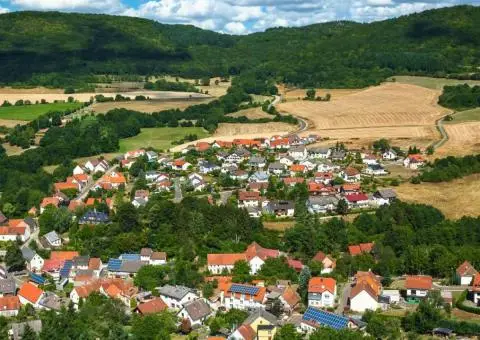 Ingrijitor batrani Germania 24/24