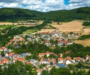 Ingrijitor batrani Germania 24/24