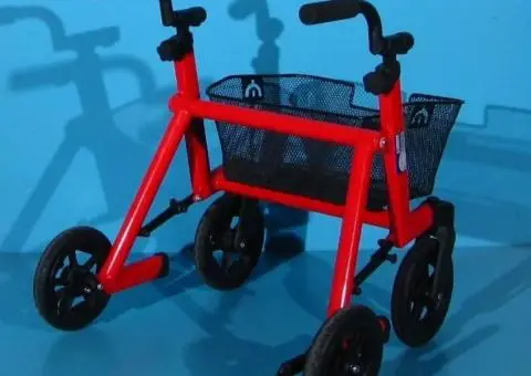 Cadru de mers cu roti pentru copii Marcy - 5/8