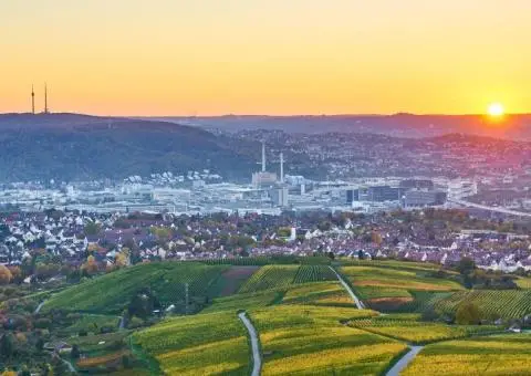 Ingrijitor batrani Germania 24/24