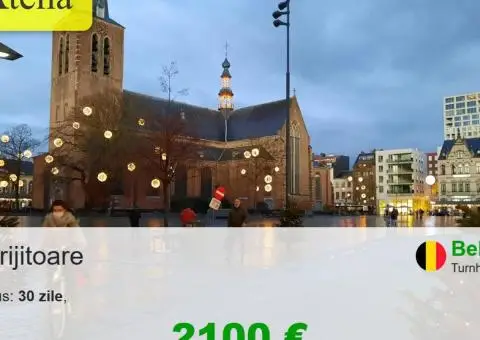 Ingrijitor batrani Germania