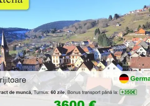 Ingrijitor batrani Germania 24/24