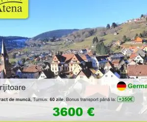 Ingrijitor batrani Germania 24/24