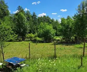 Vanzare teren intravilan+casă bătrânească, zonă turistică, Novaci