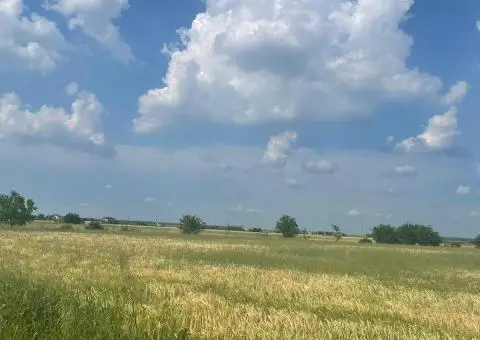 Vanzare teren intravilan Cernica_Tânganu, lot 954mp - 2/10