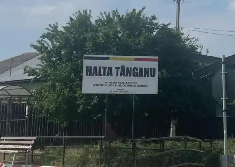 Vanzare teren intravilan Cernica_Tânganu, lot 954mp - 5/10