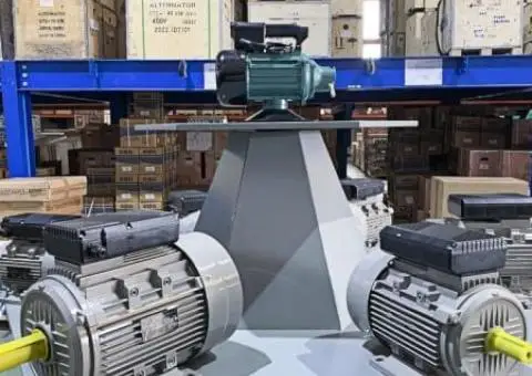 Motor Electric Trifazat 1400 RPM – Toate Modelele, Preturi Diferite - 2/2