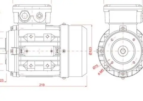 Motor electric trifazat 0.12kw 1400rpm 63 B14 - 2/2