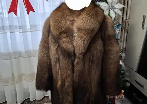 Haina dama vulpe polara