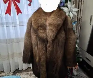 Haina dama vulpe polara