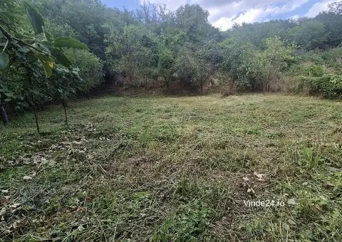 Vanzare/ schimb casa in Ciugudul de Sus - 8/8