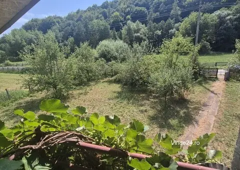 Vanzare casa in Almasu Mare - 9/10
