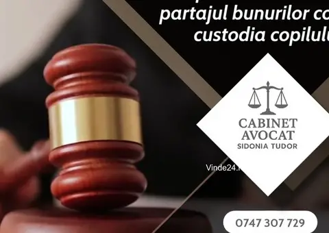 Avocat Consultanta