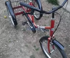 Vând tricicletă adulti - Imagine 2