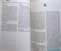 Dictionar de miscari literare si artistice contemporane, 2000 - Imagine 12