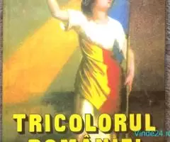 Tricolorul Romaniei, Adina Berciu-Draghicescu, 1995 - Imagine 1