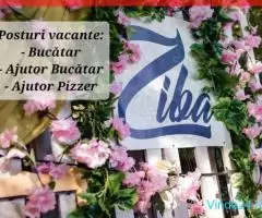 Angajam bucatar, ajutor pizzer, ajutor bucatar