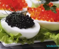 iCRE NEGRE SI ROSII