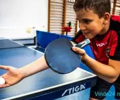 Asociatia club sportiv table tennis cool sport Deva - Imagine 4