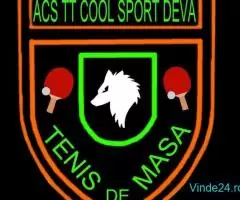 Asociatia club sportiv table tennis cool sport Deva - Imagine 10