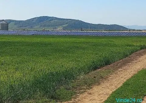 teren agricol in Harman-Brasov
